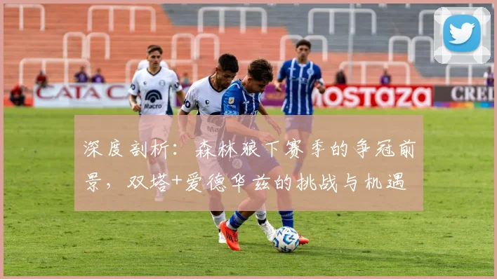 深度剖析：森林狼下赛季的争冠前景，双塔+爱德华兹的挑战与机遇