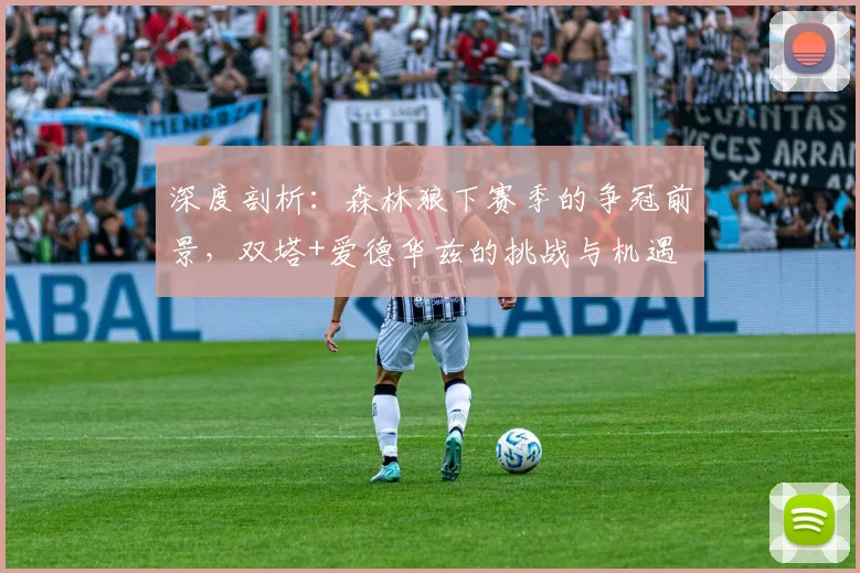 深度剖析：森林狼下赛季的争冠前景，双塔+爱德华兹的挑战与机遇